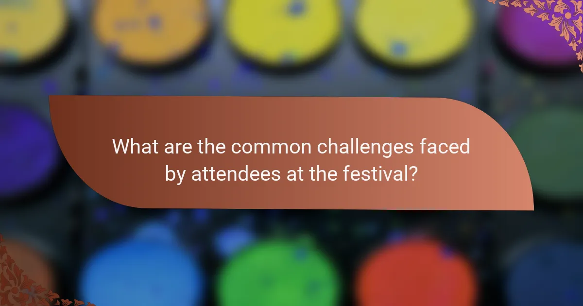 What are the common challenges faced by attendees at the festival?