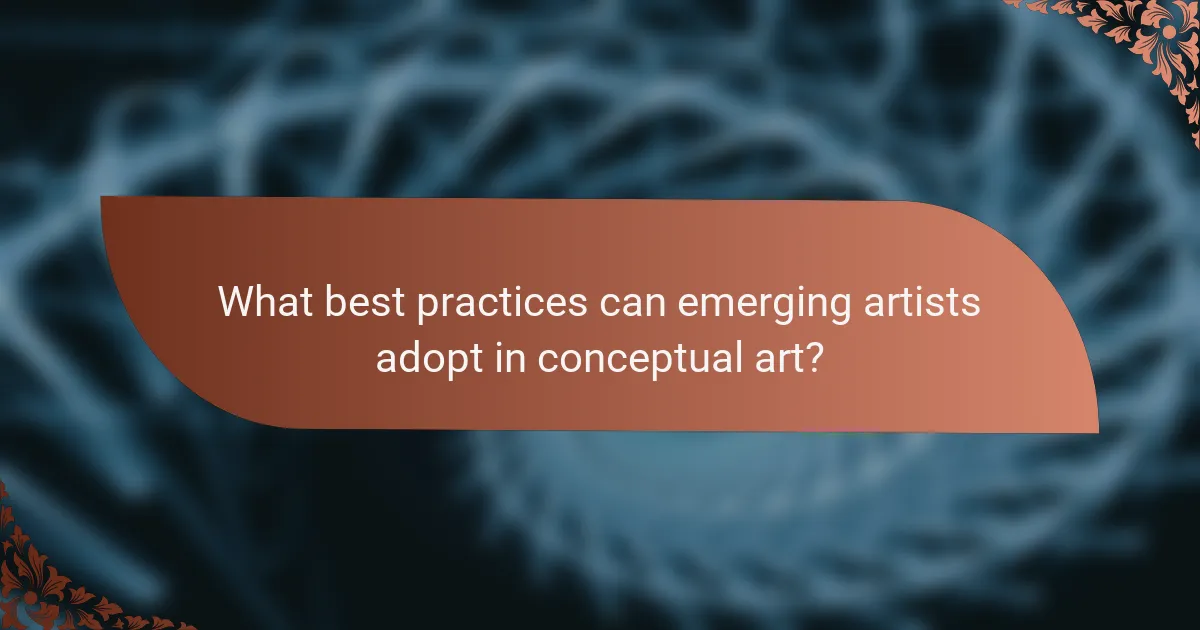 What best practices can emerging artists adopt in conceptual art?